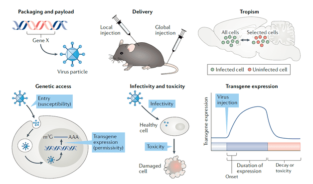 (Nectow A R et al. Nature reviews Neuroscience, 2020)