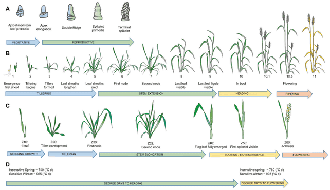 (Nectow A R et al. Nature reviews Neuroscience, 2020)