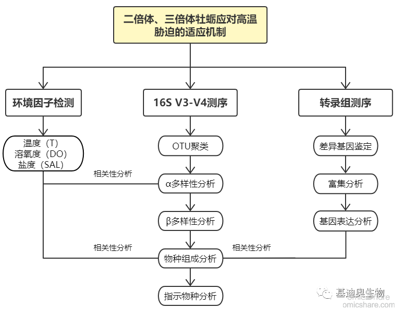 1136fe00fa6f100bfb6d65af8d0991ab.png